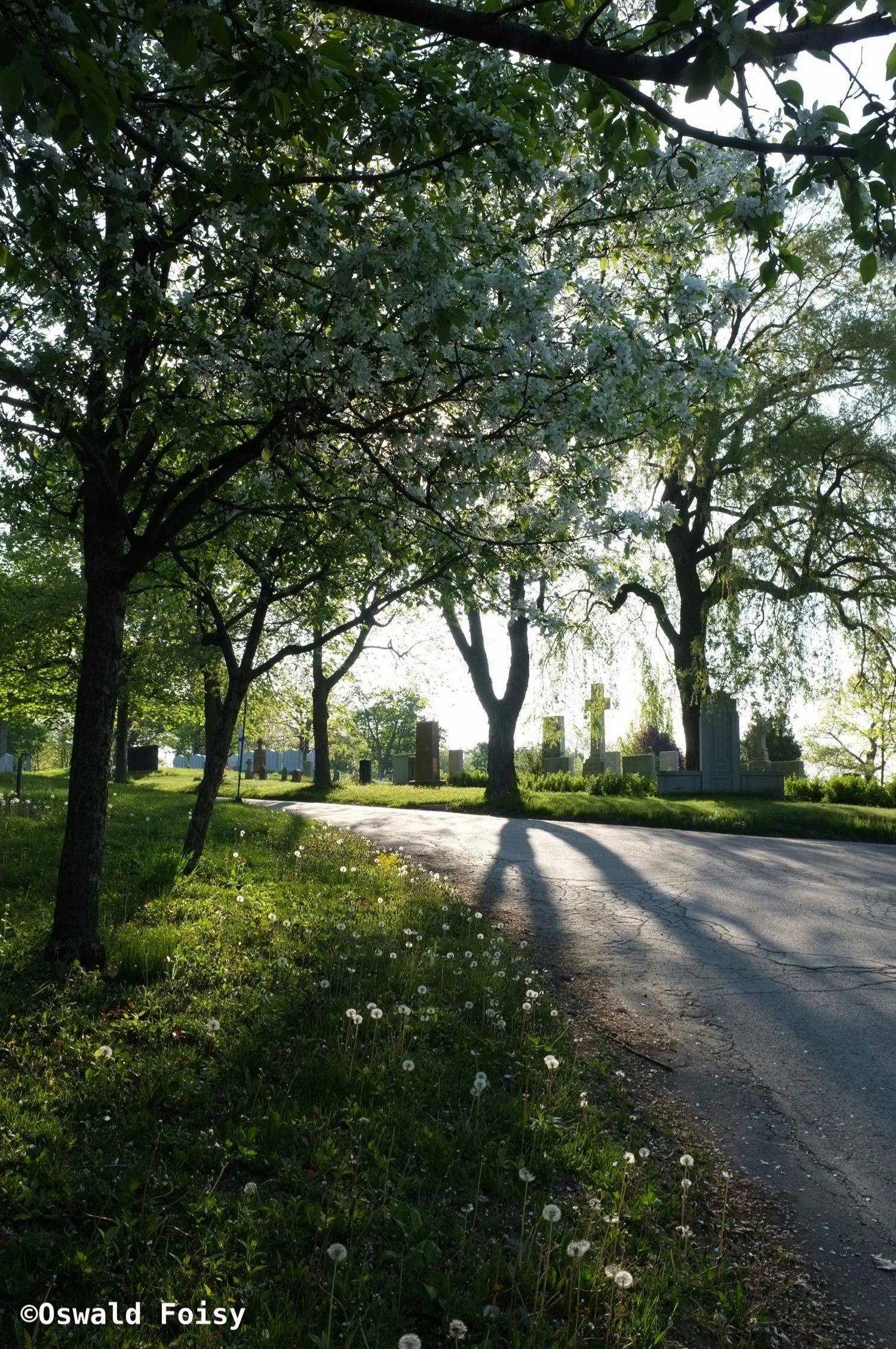 DSCF7574.jpg