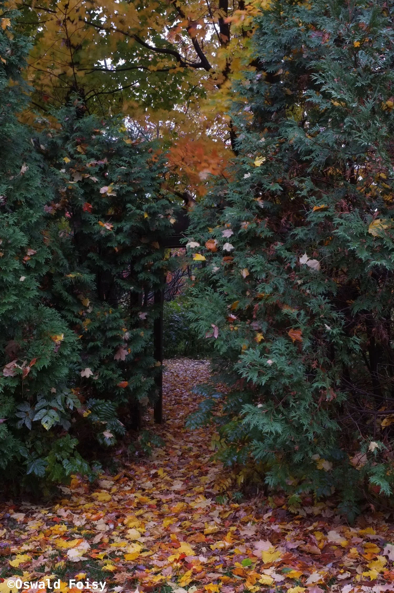 DSCF2956.jpg