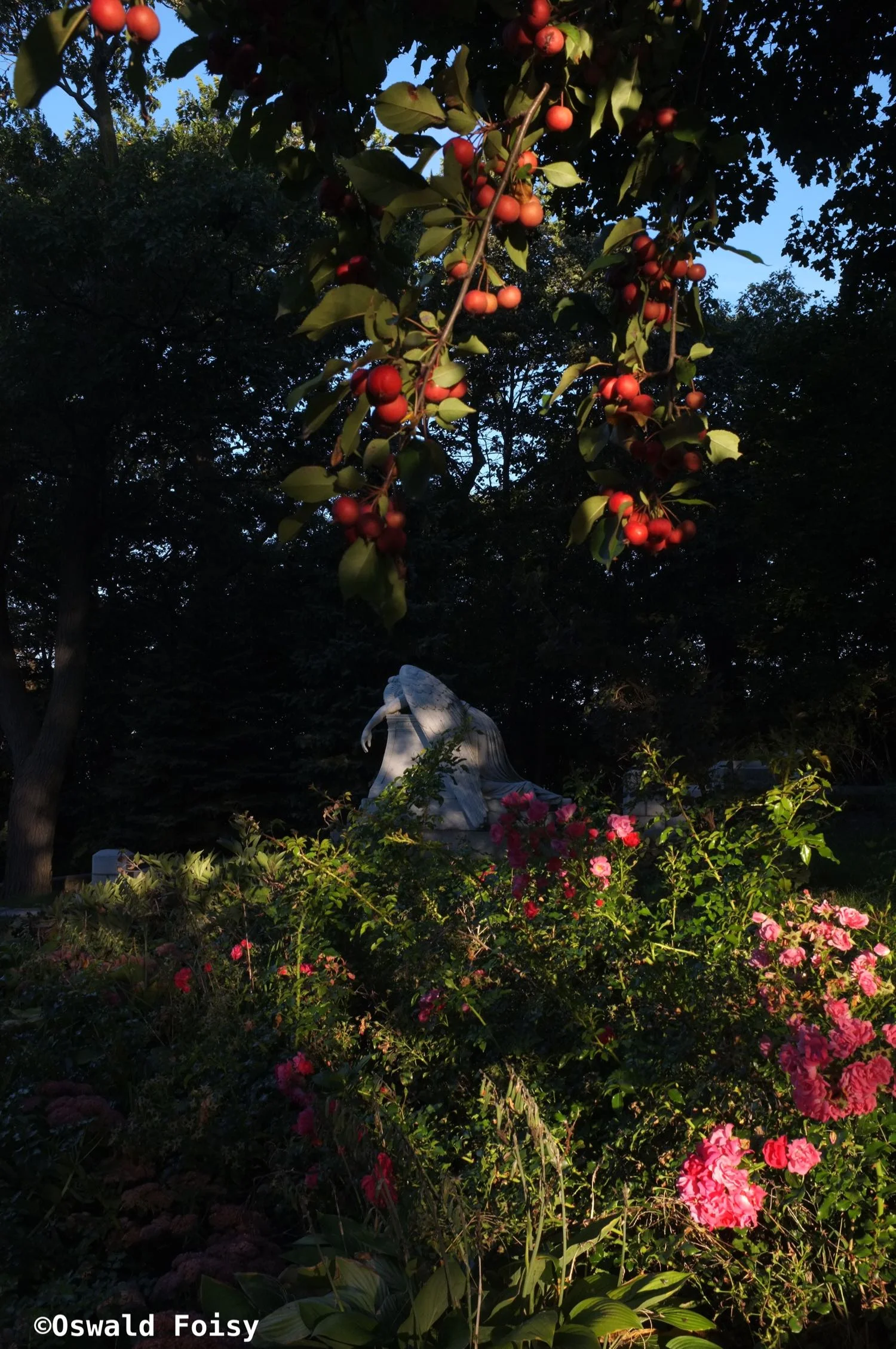DSCF4186.jpg