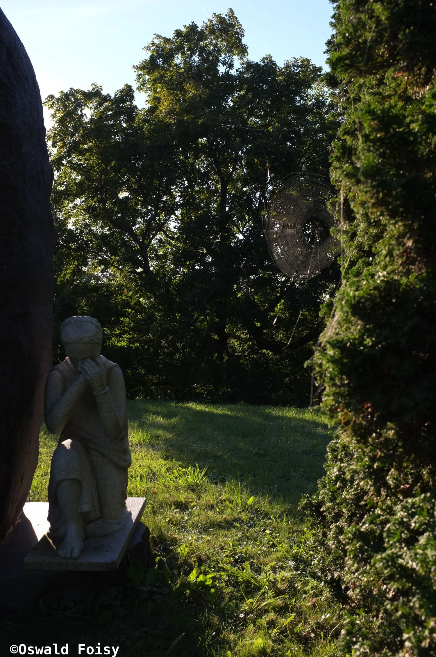 DSCF4203.jpg