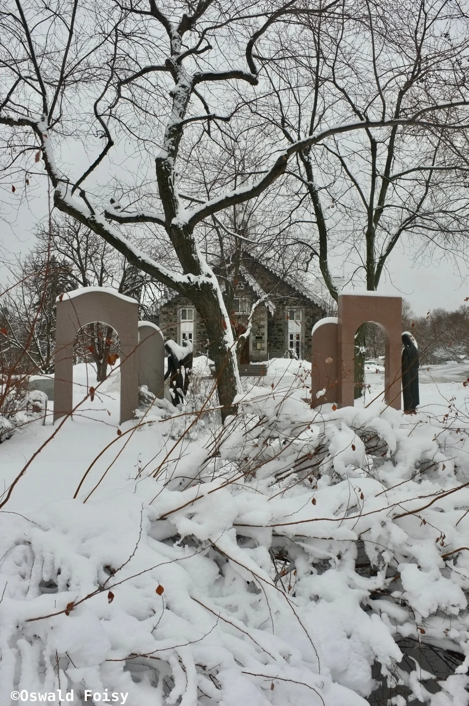 DSCF9743.jpg