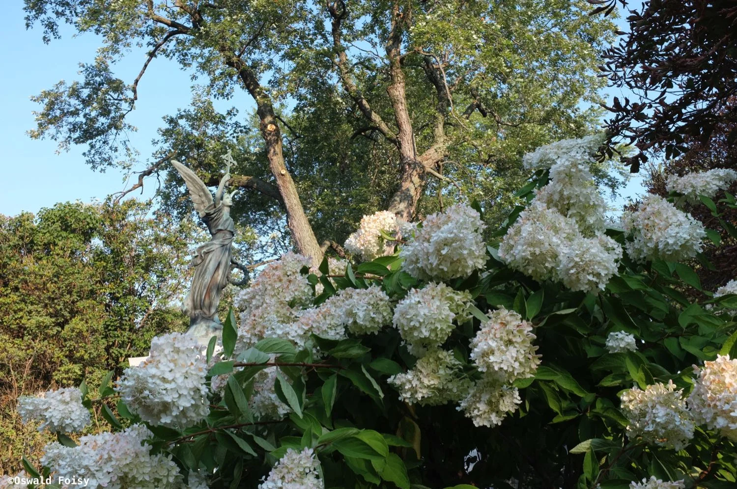 DSCF6822.JPG
