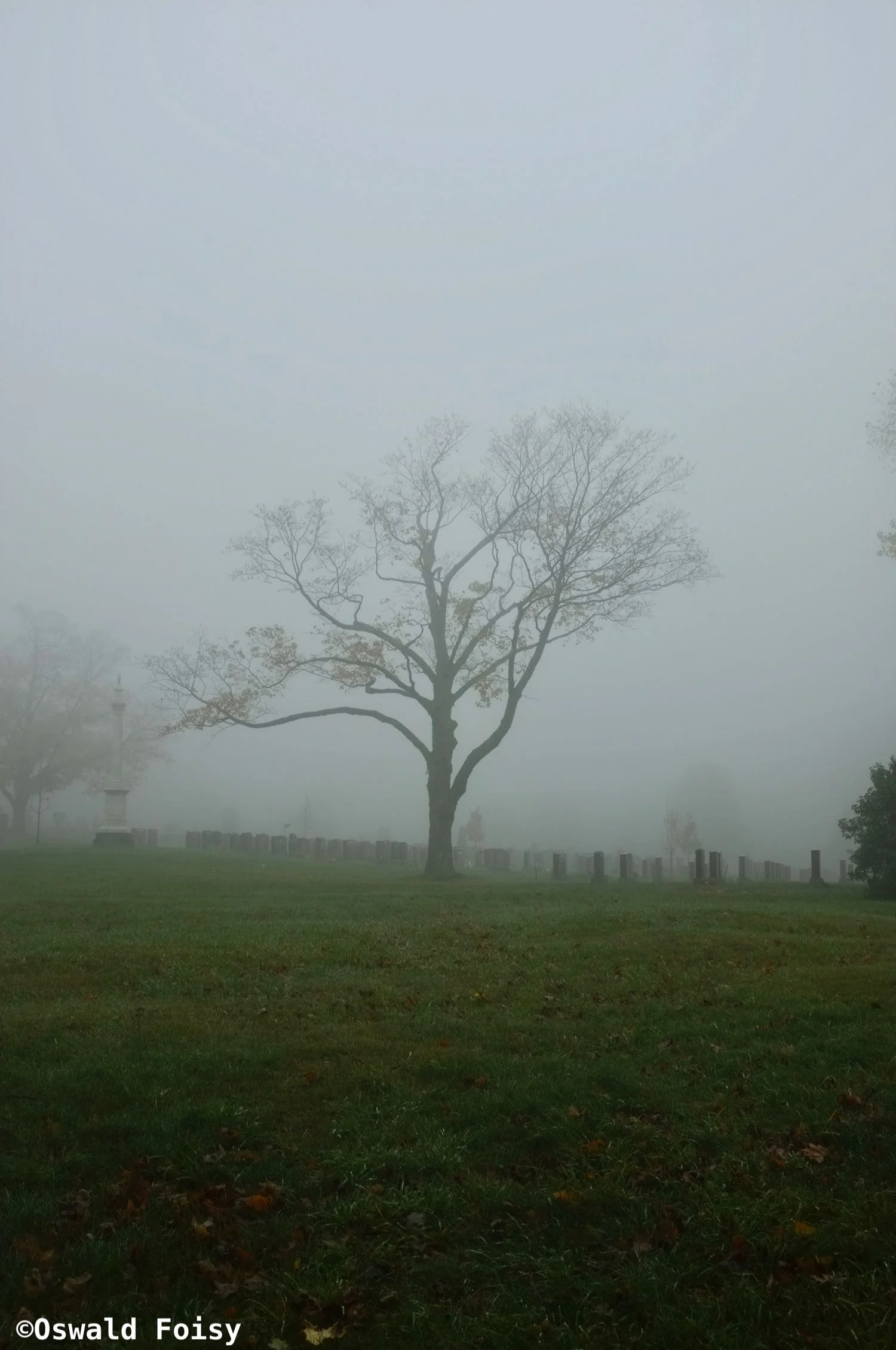 DSCF3402.JPG