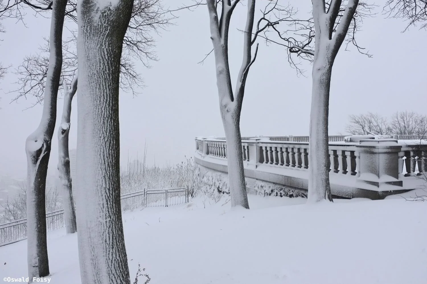 DSCF9167.jpg