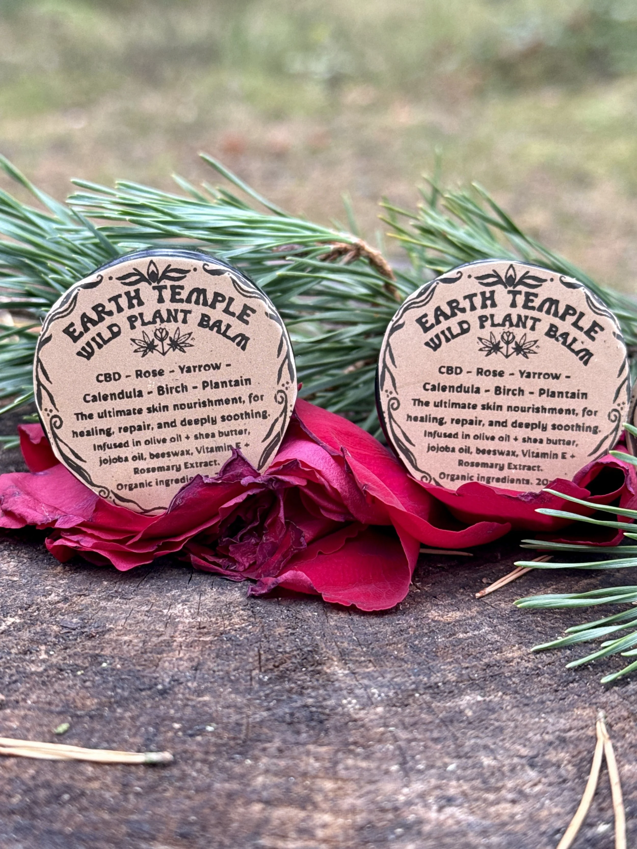 Wild Plant Healing Balm