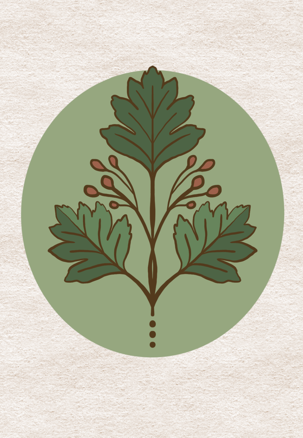 Oracle Deck. Hawthorn Card