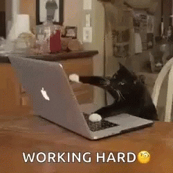 working hard.gif