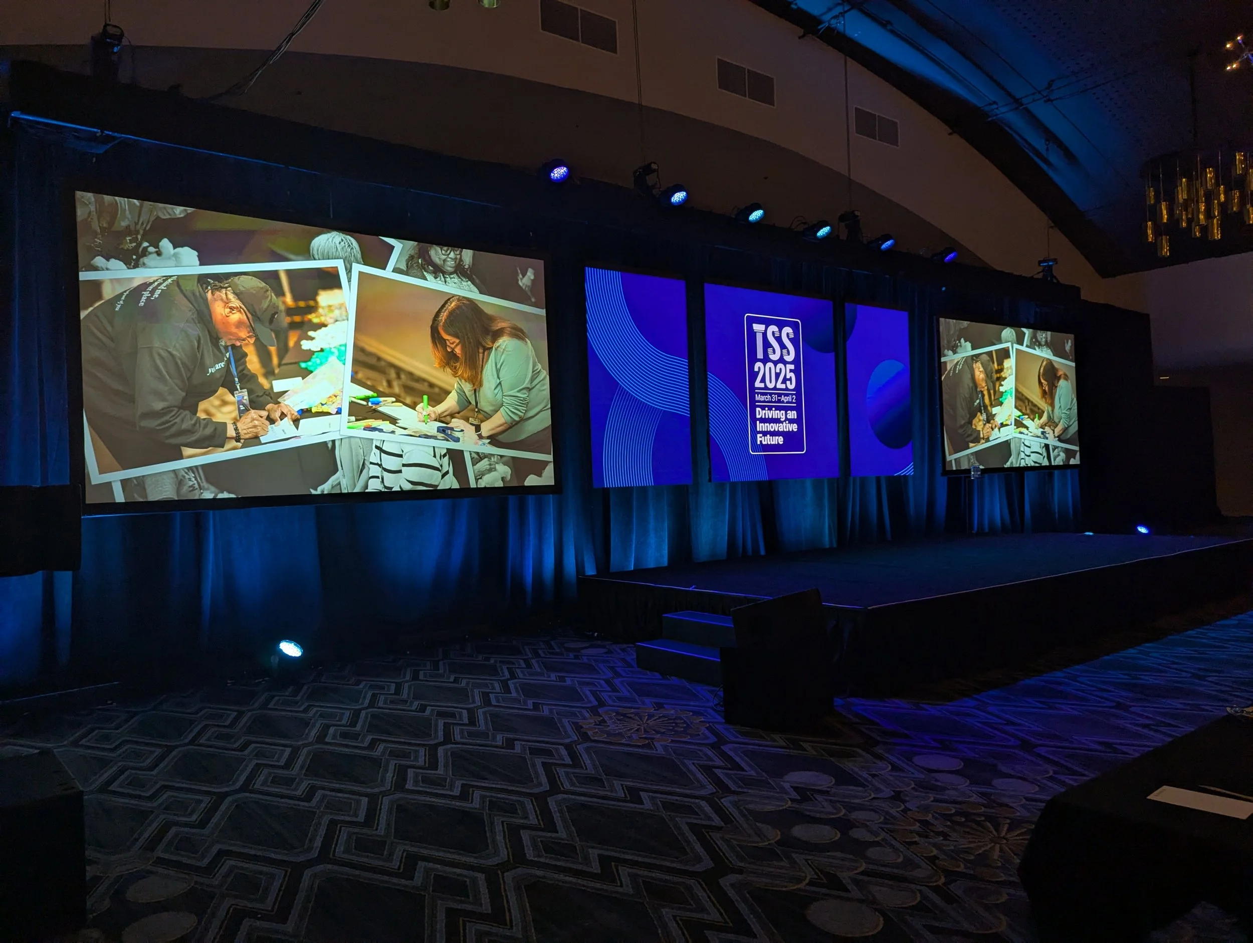 Conference Branding: TSS 2025