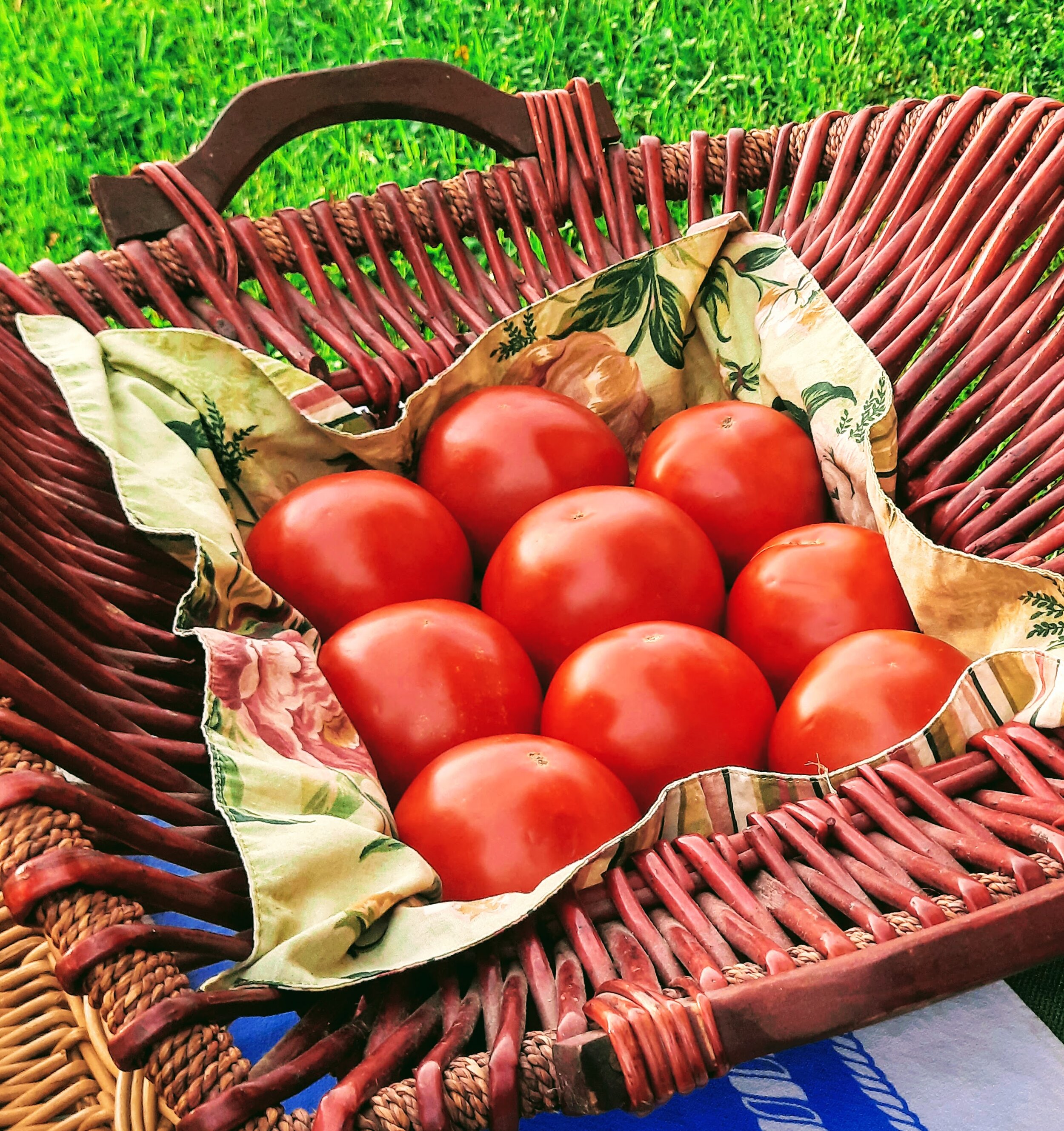 Hillsborough perfect tomatoes.jpg
