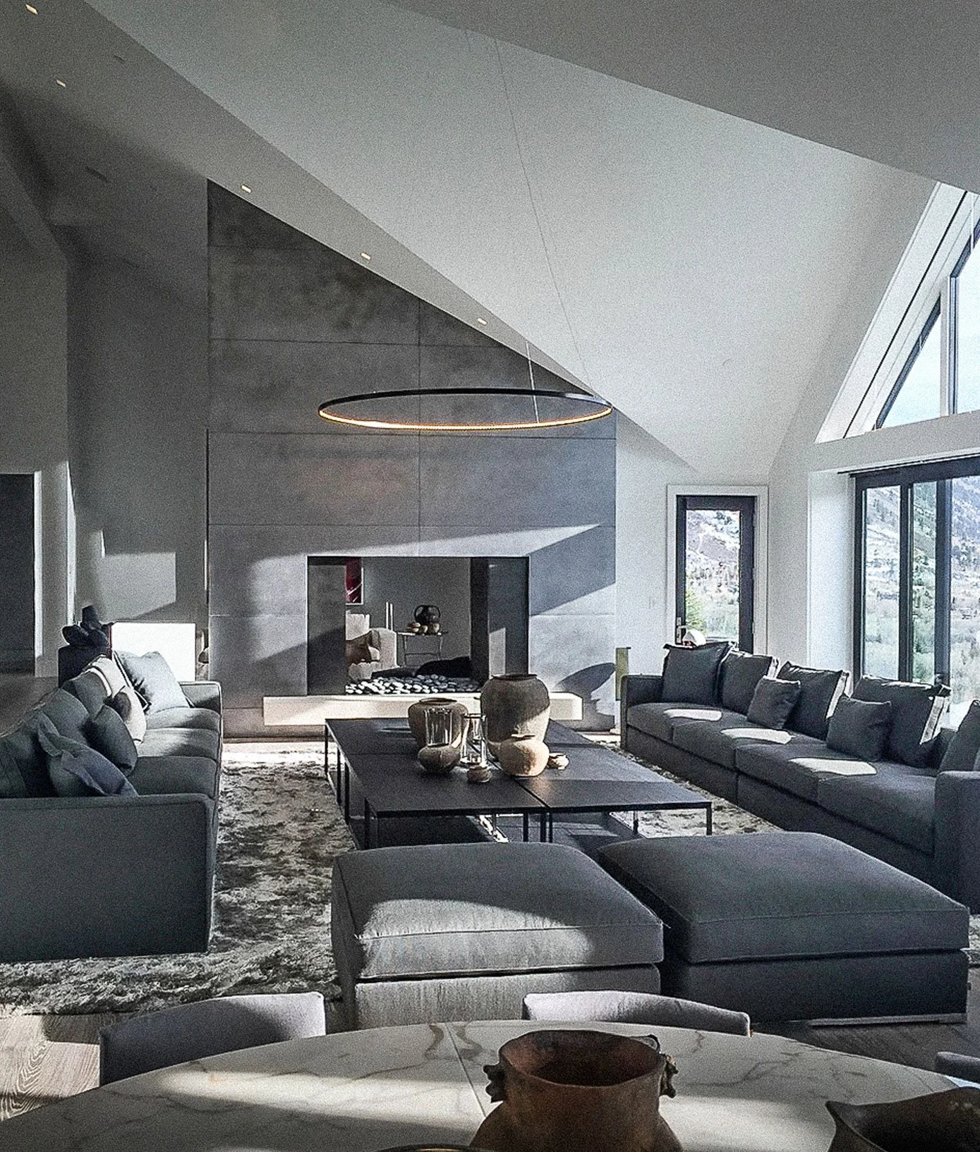 LEDEUN-SITE_Home-Omega-Aspen.jpg