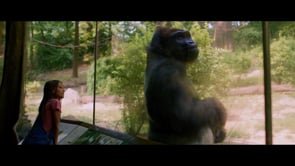 Bronx Zoo - Commercial Director Portfolio