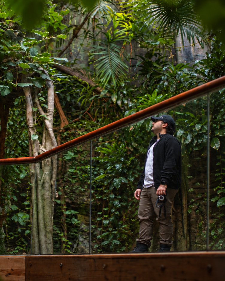 Jungle+Safari.png