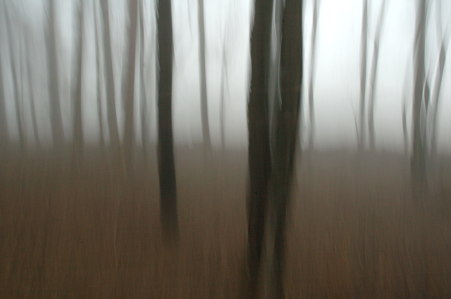 CREAM HILL 12