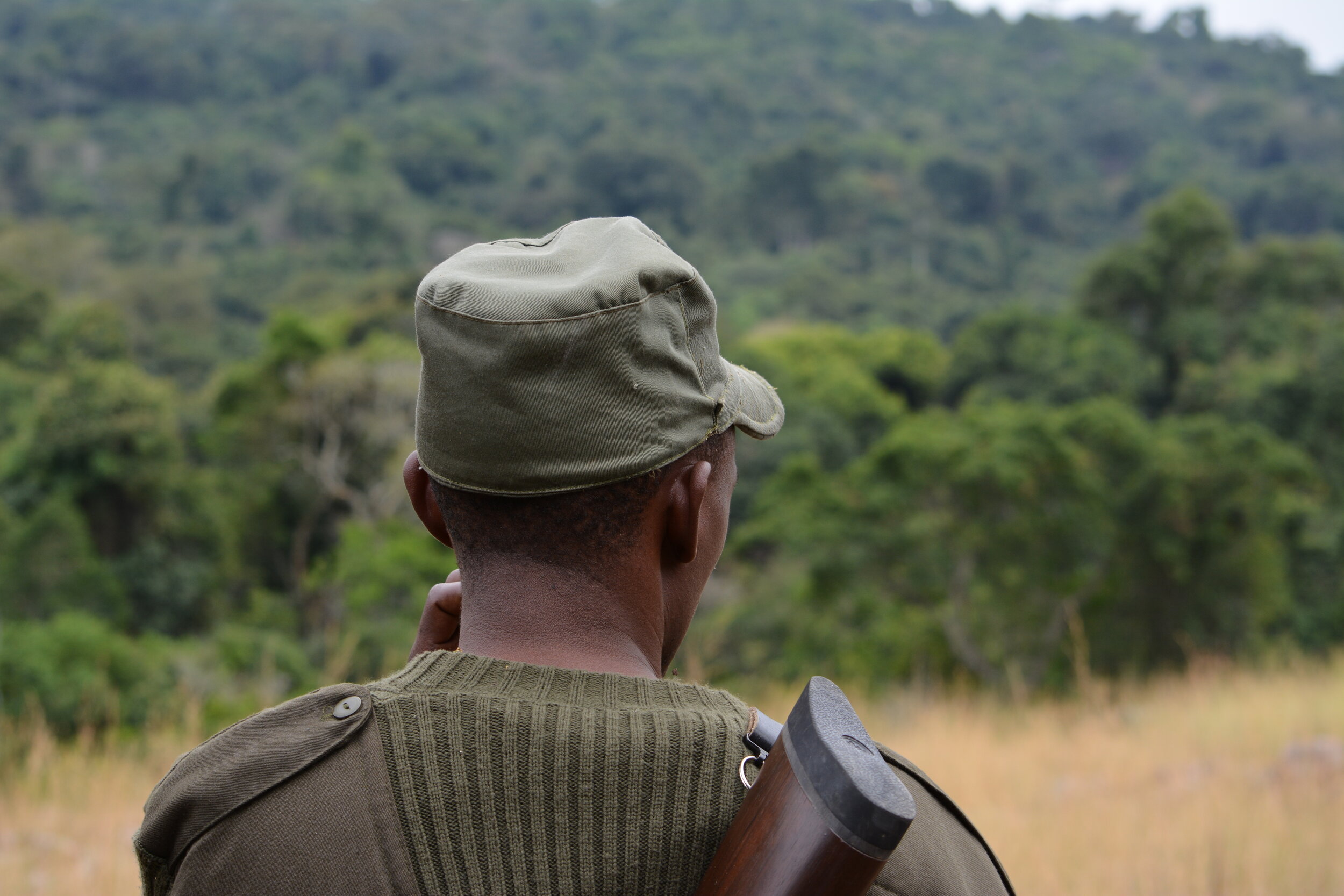 RUBONDO TRACKER.jpg