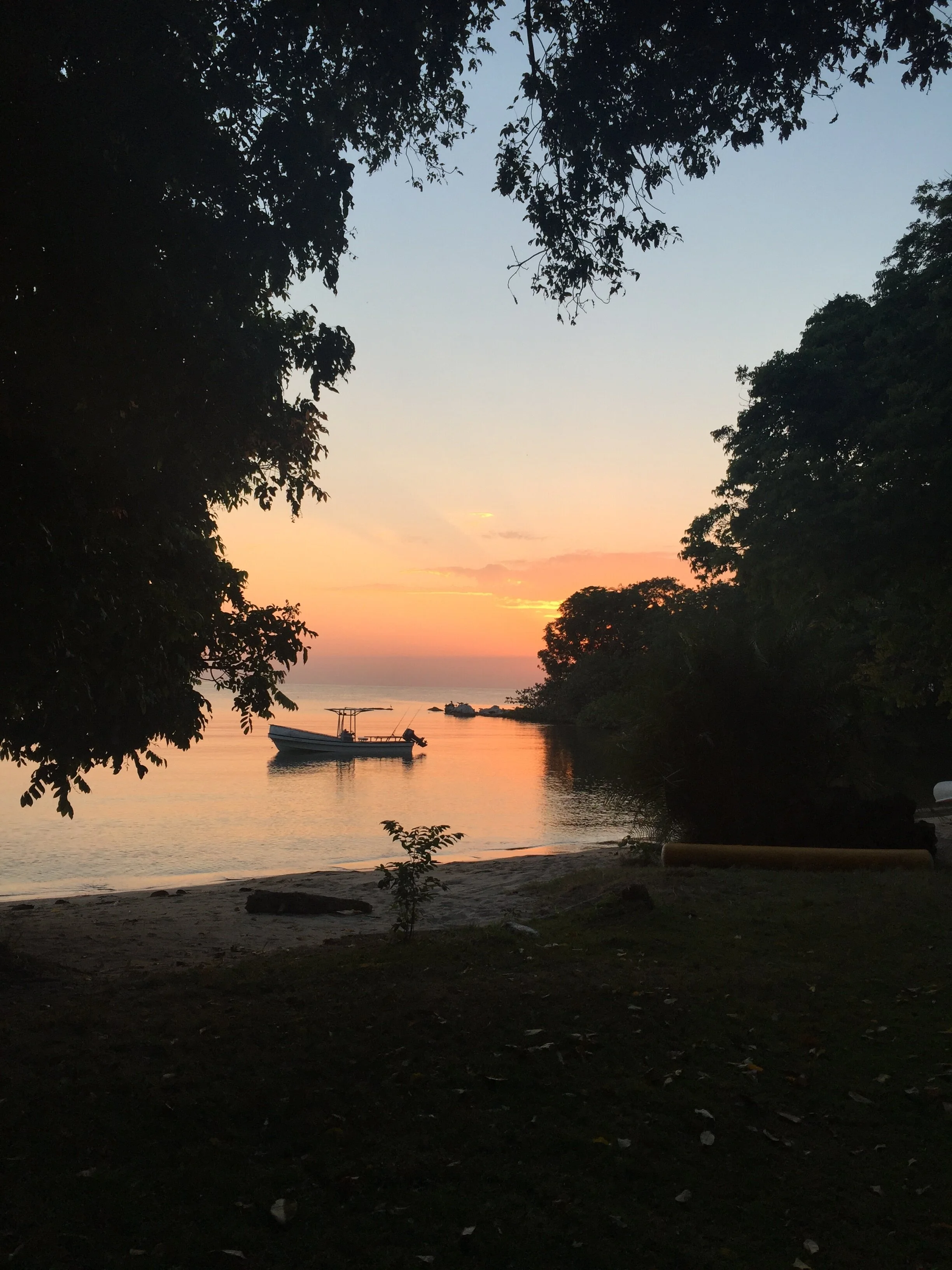 A boat floating on calm water during sunset, with the sky showing shades of pink and orange, framed by dark silhouettes of trees.