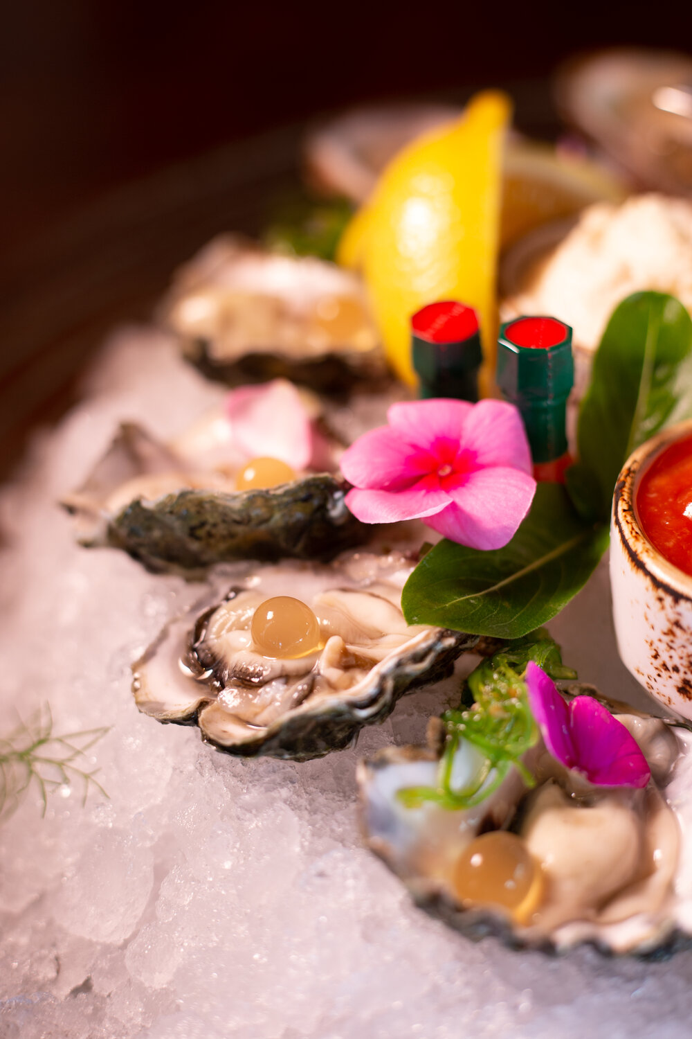 Fresh oysters professional food photo