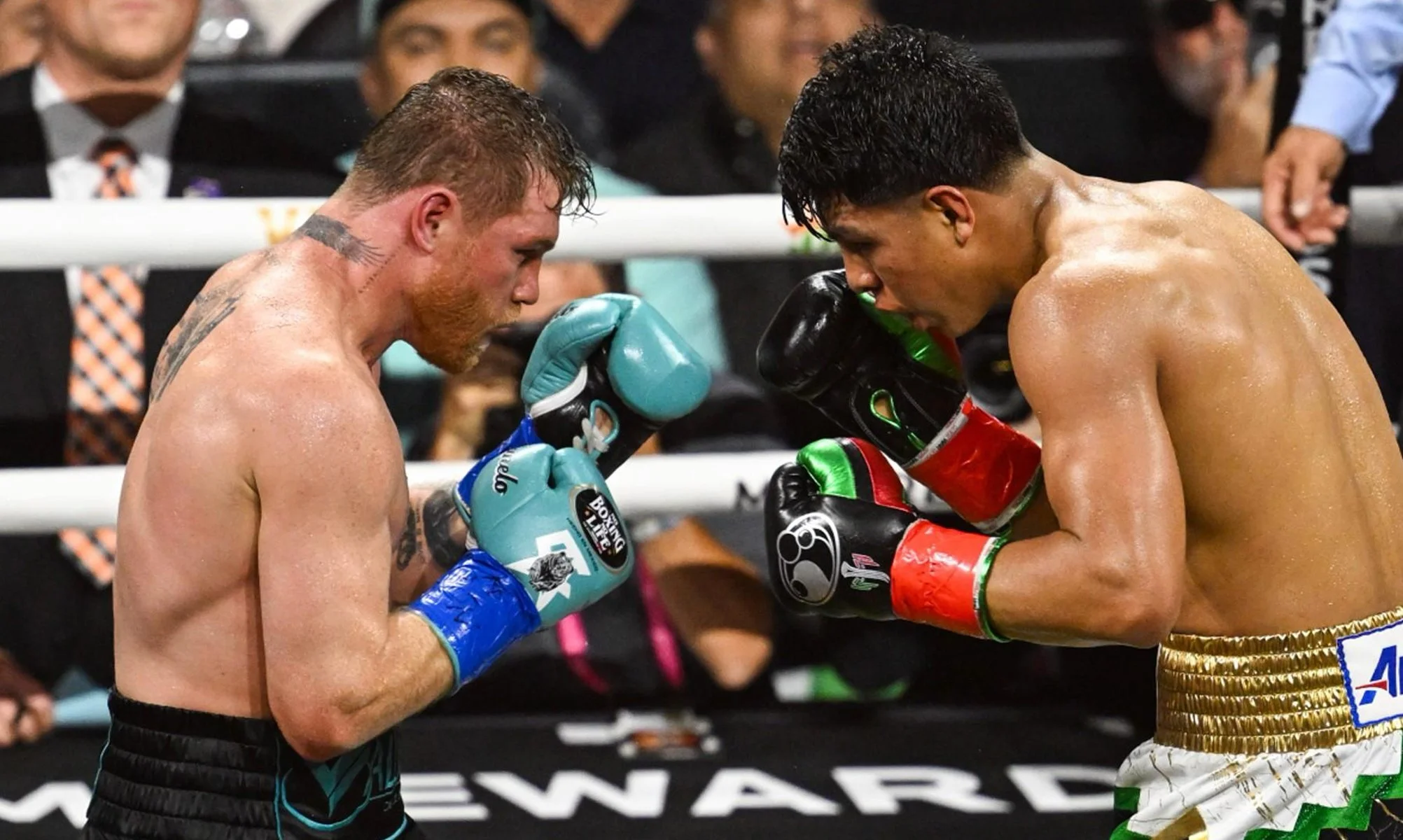 canelo.jpg