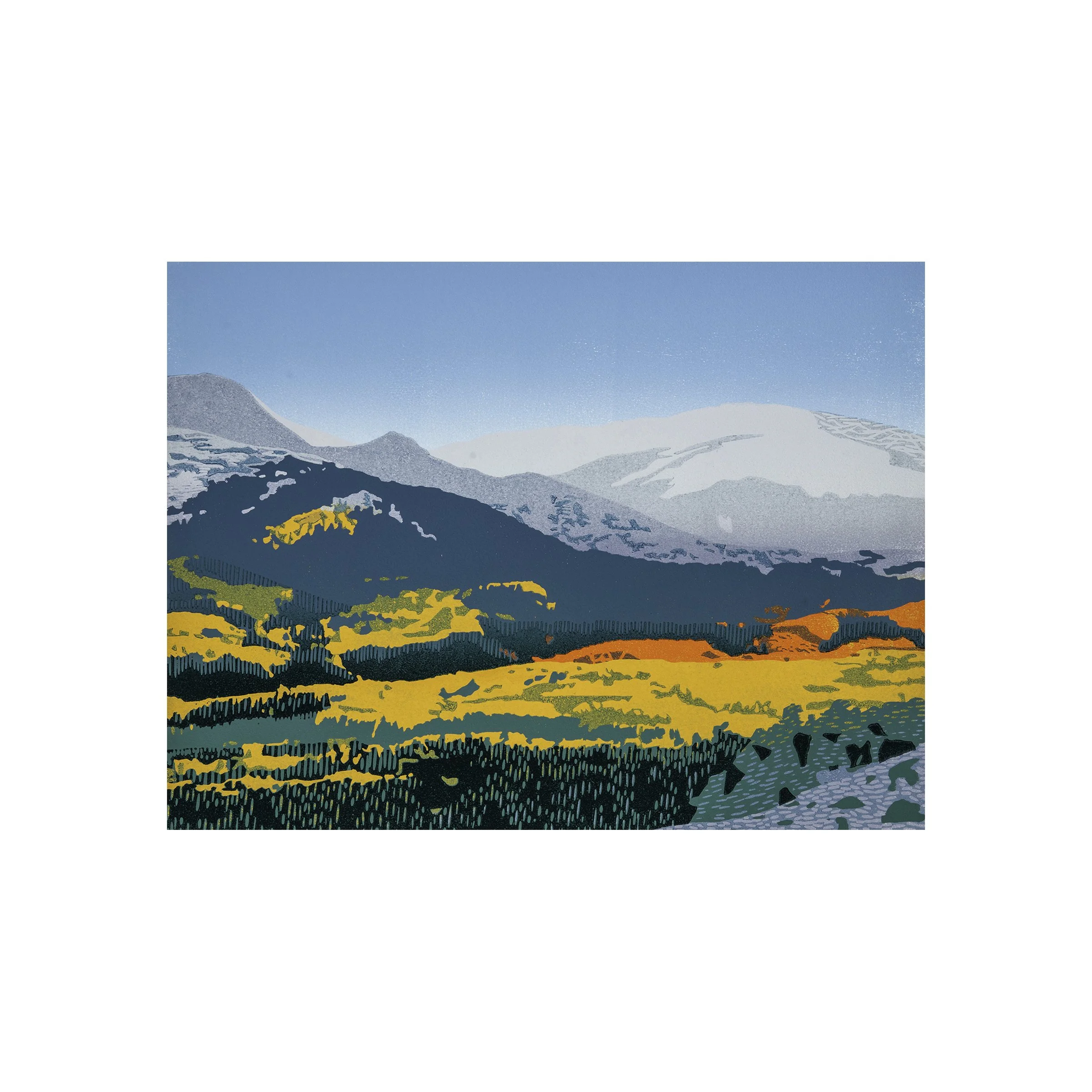 colorado vista slider.jpg