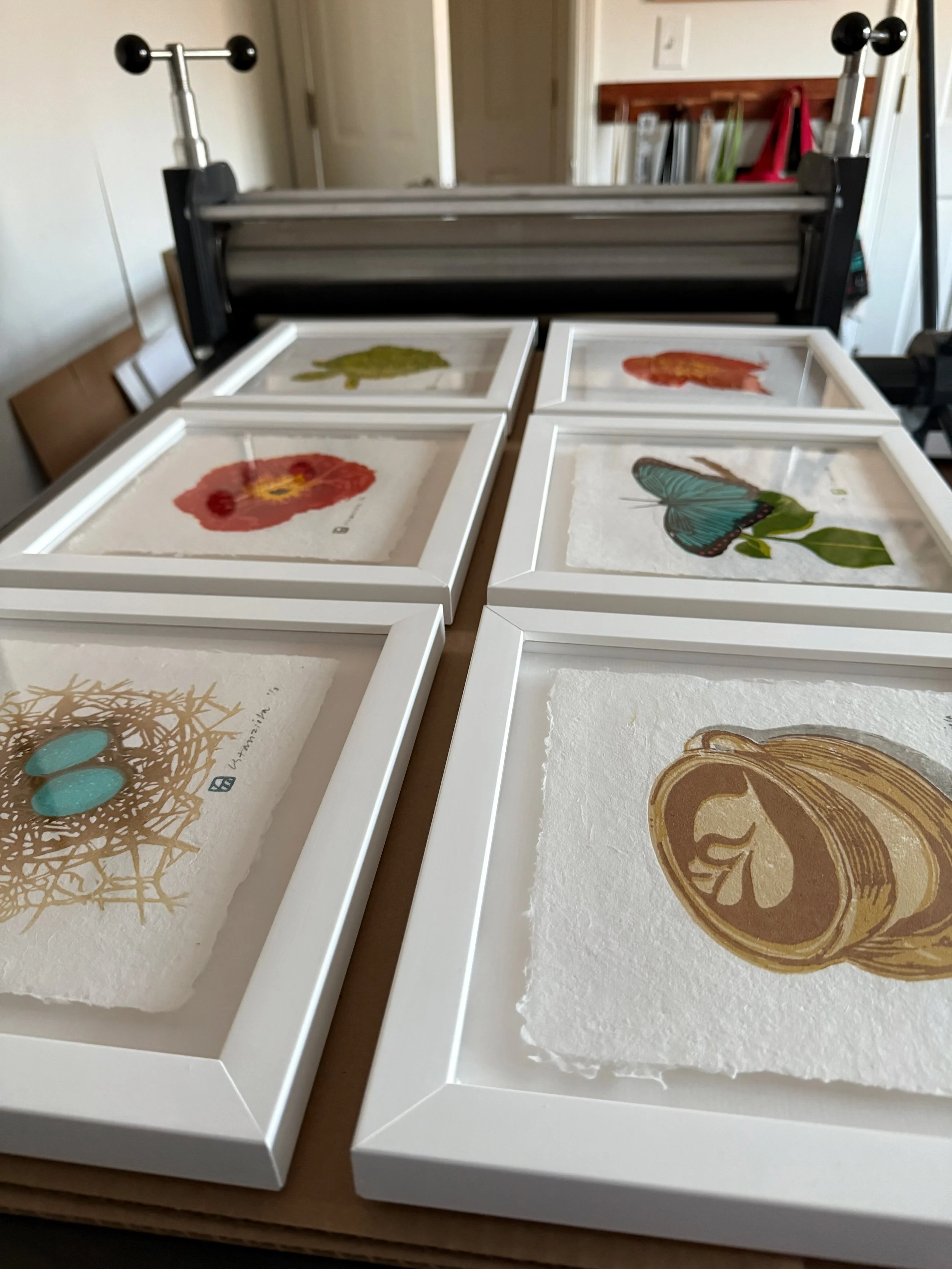 IMG_4730.jpeg (Copy) (Copy) (Copy)