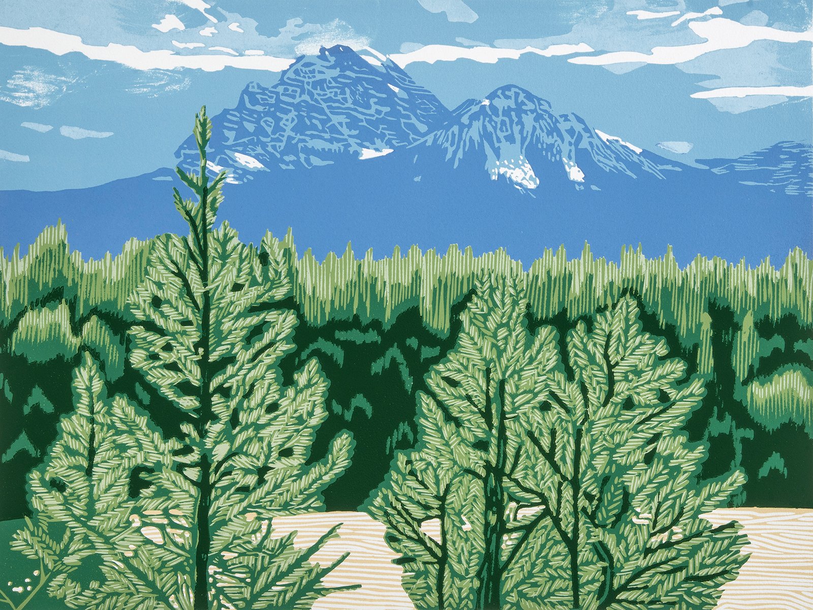 vista 51 N 116 W Banff river for entry.jpg