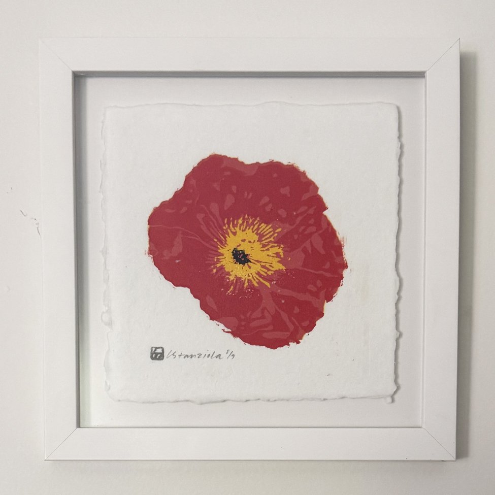 poppy in frame.jpg