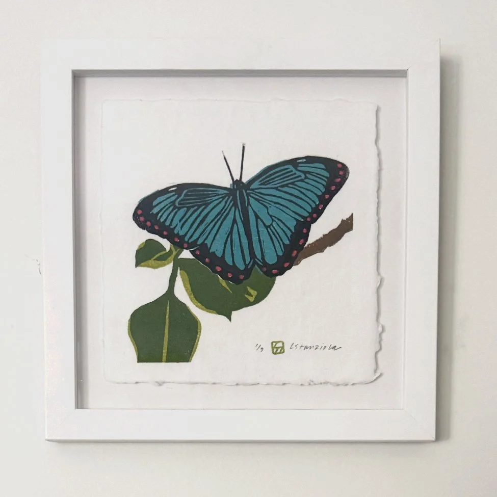 butterfly in frame.jpg
