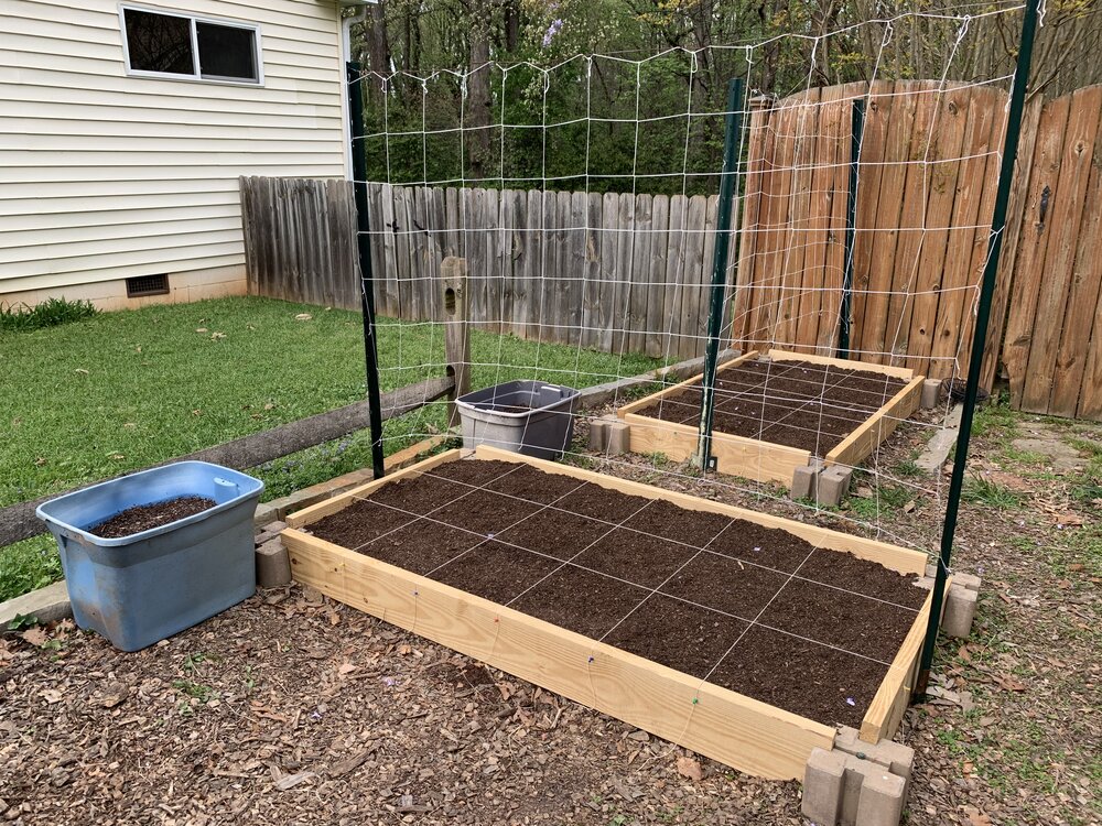 The raised beds are 6 ft by 3 ft each and each has a vertical trellis.
