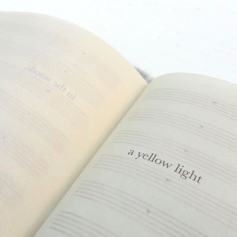 Fragment of poem on waxy paper in handmade unique artist's book