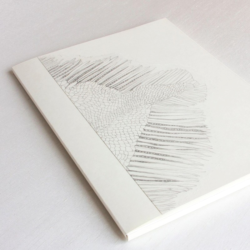 Personalised slipcase for artist's book