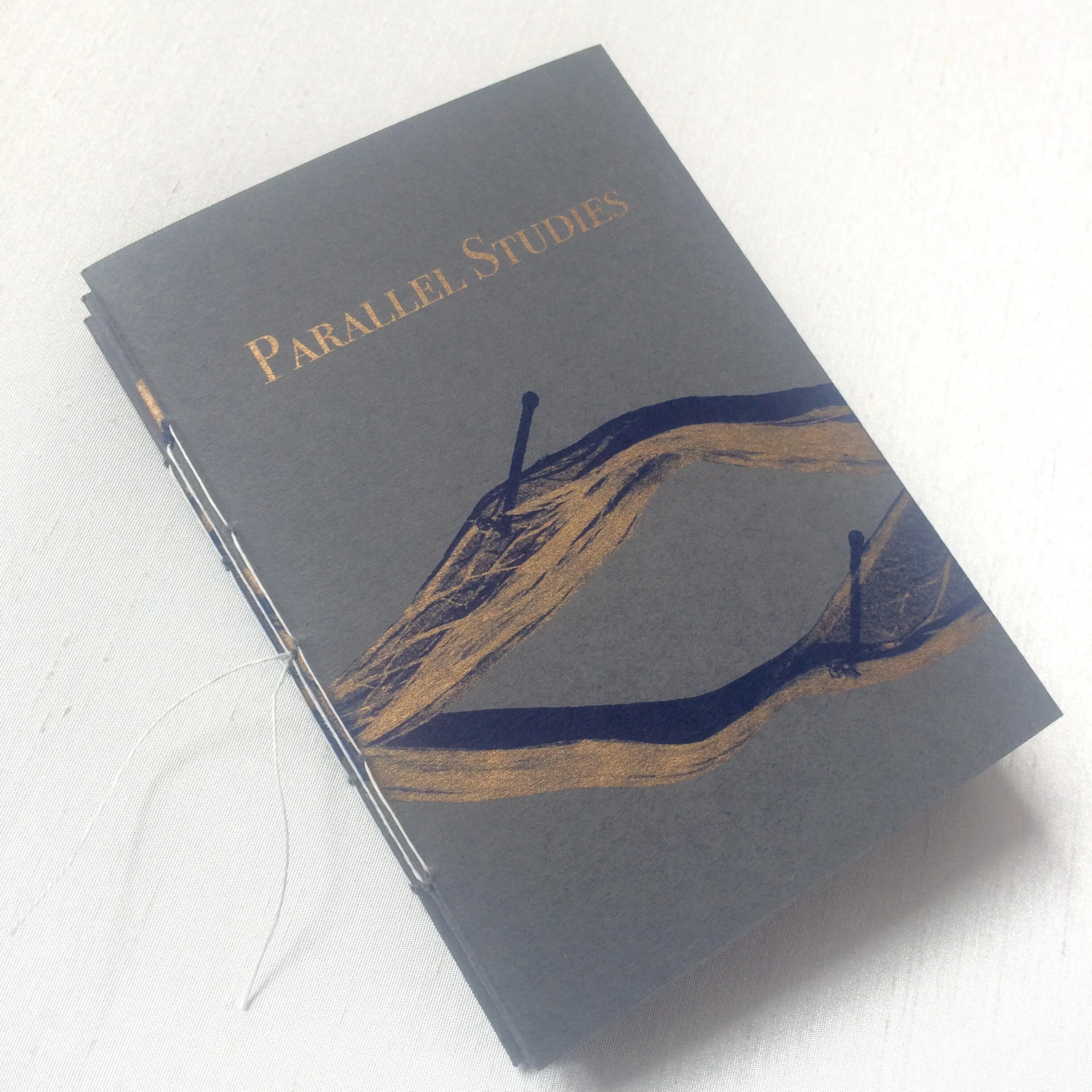 Parallel Studies - Poetry book