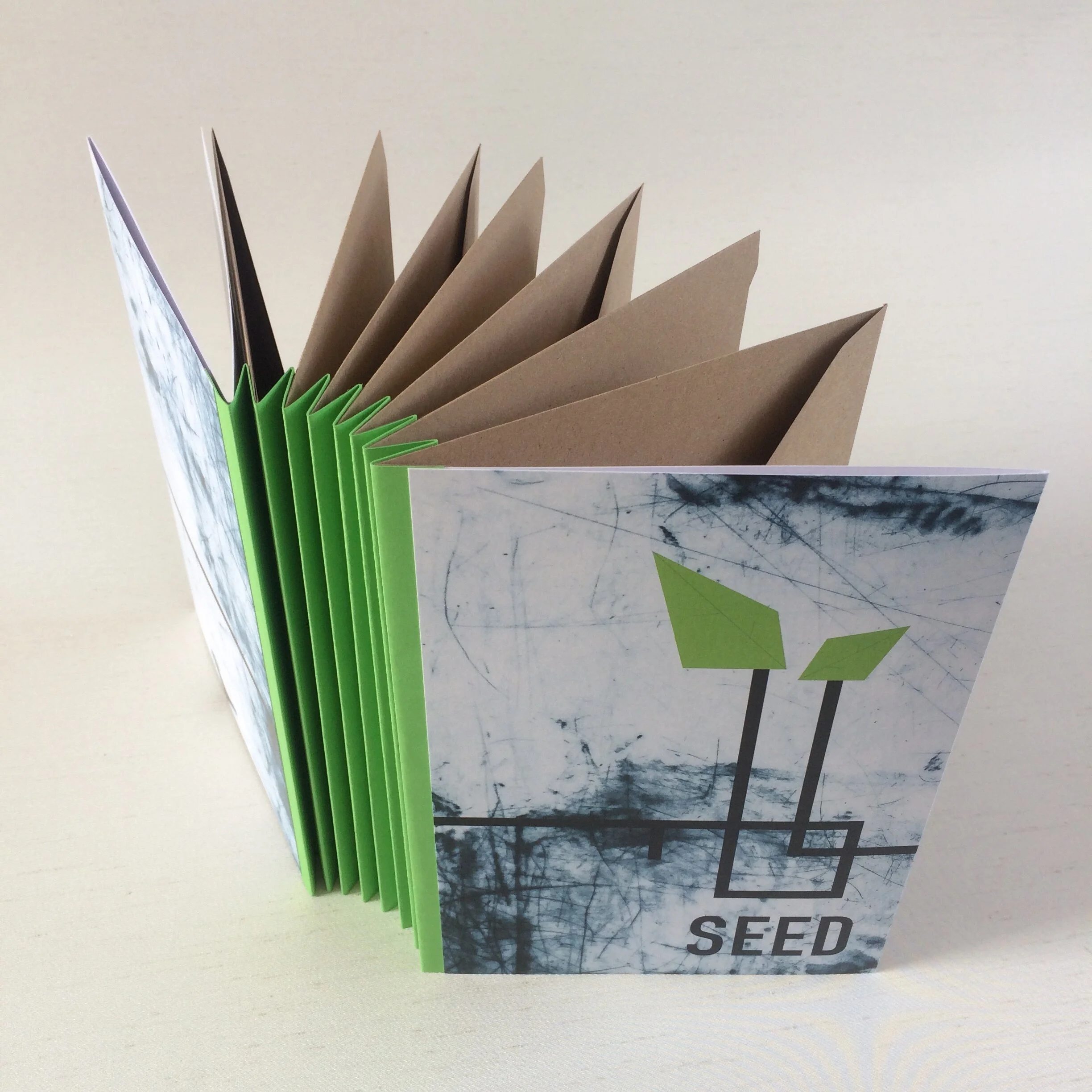 Launching SEED: Objects of Wonder