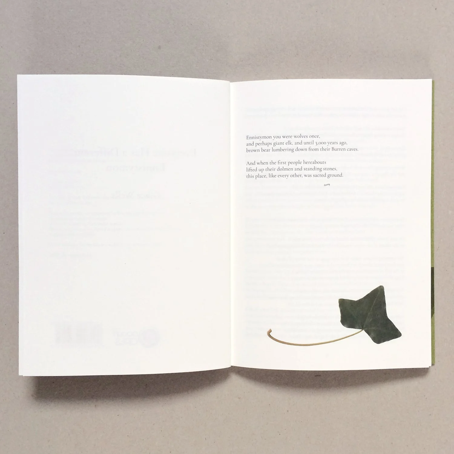 Grace-Wells-book-sm3.jpg
