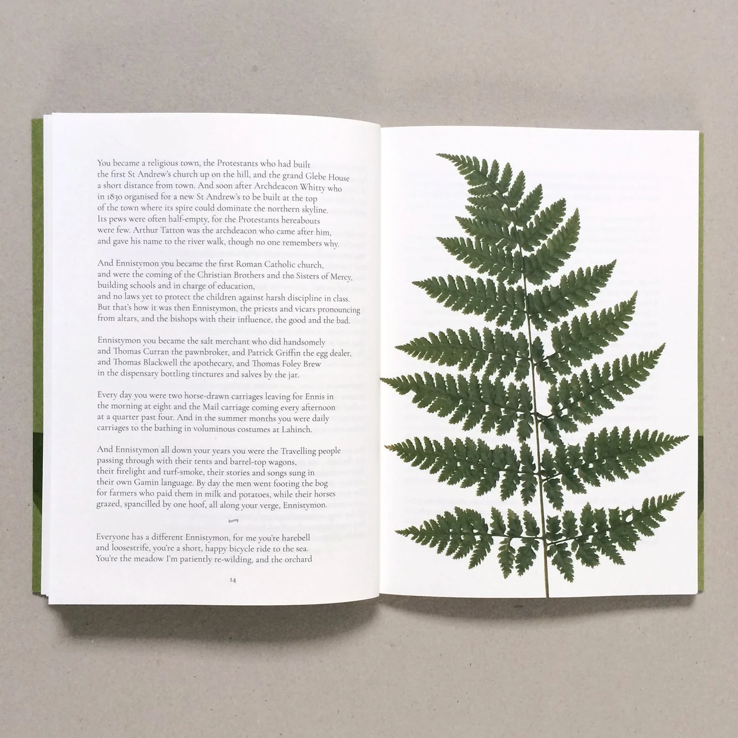 Book Launch: Grace Wells