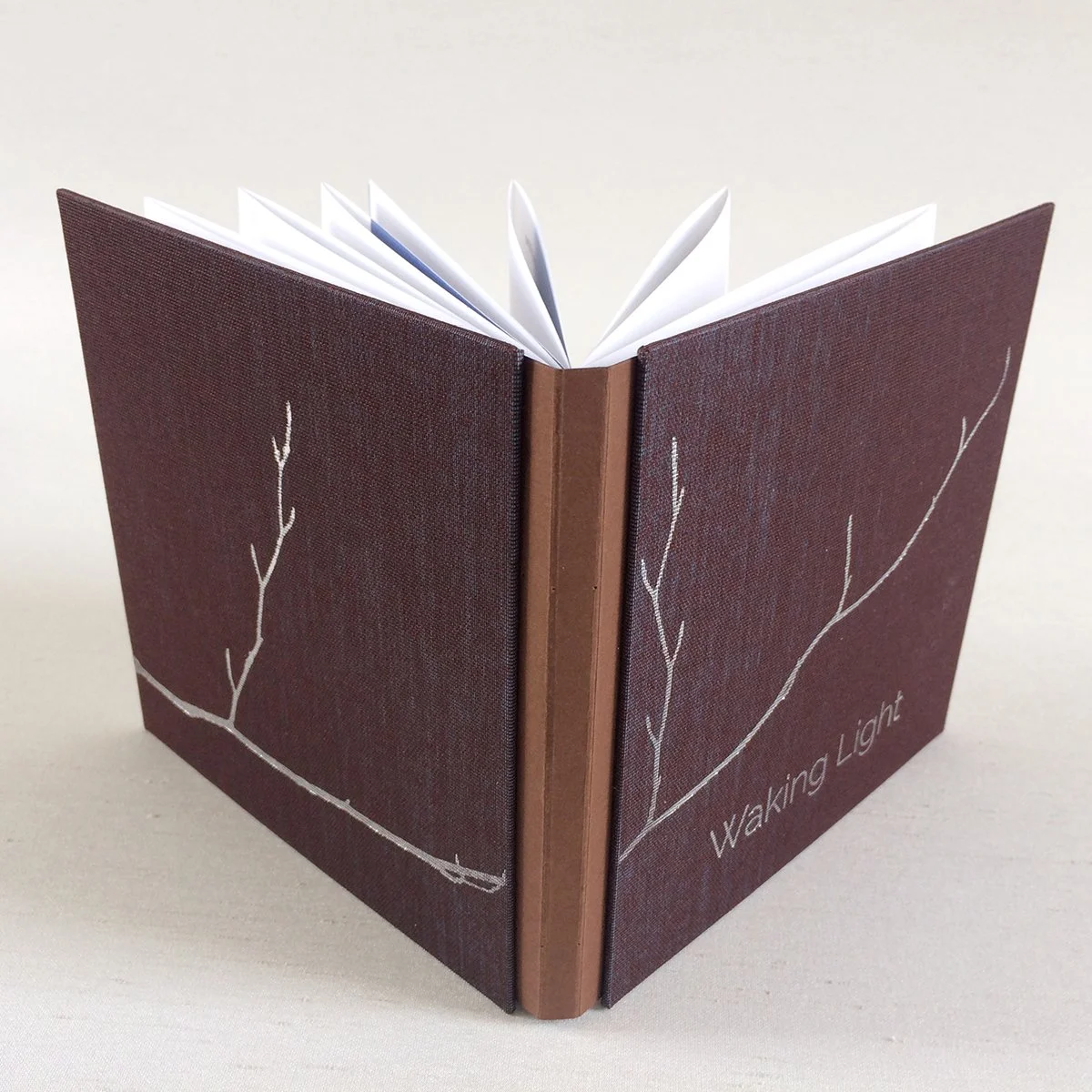 Waking Light: poetry book