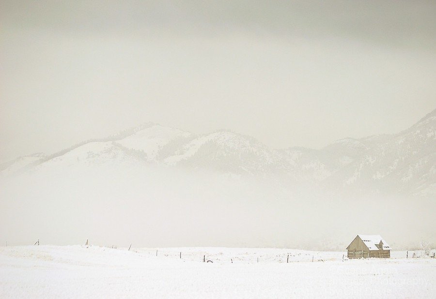 WINTER ISOLATION