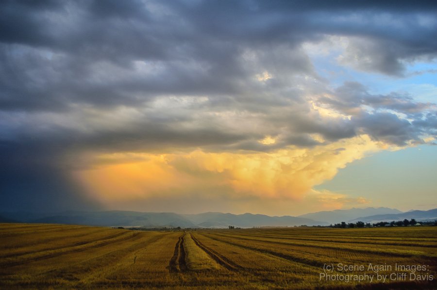 GALLATIN VALLEY, MONTANA