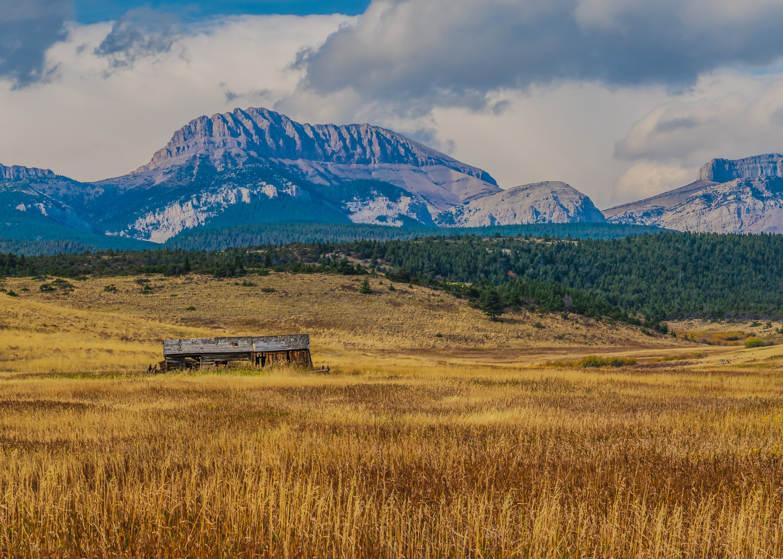 Ear Mountain. (Copy)