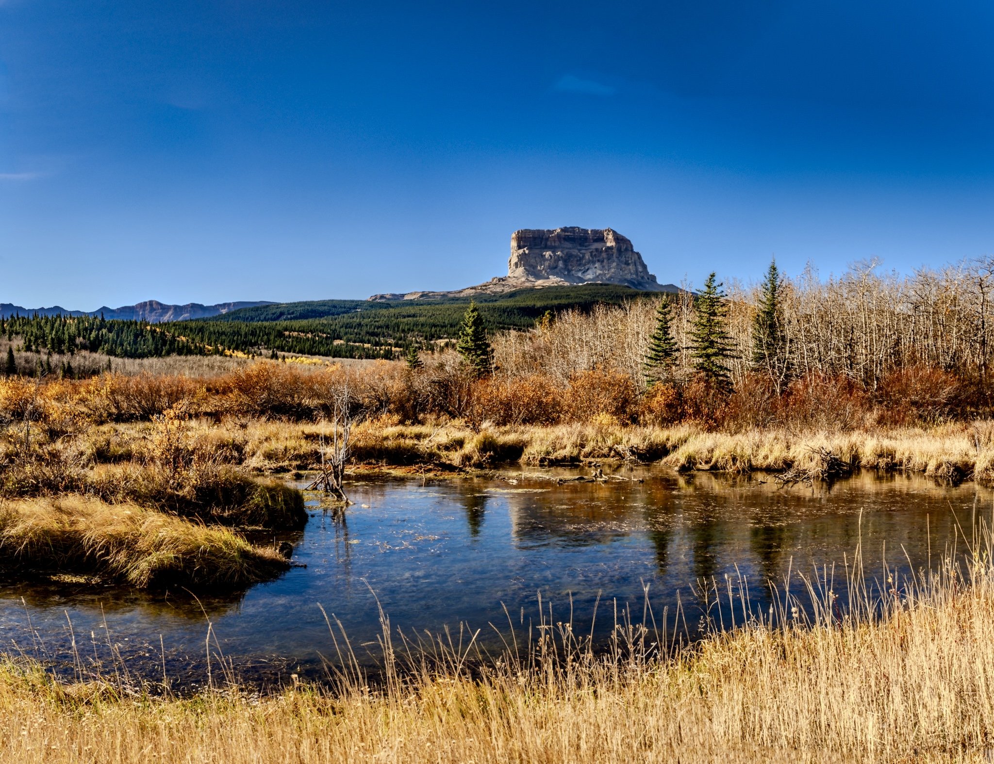 Chief Mountain (Copy)