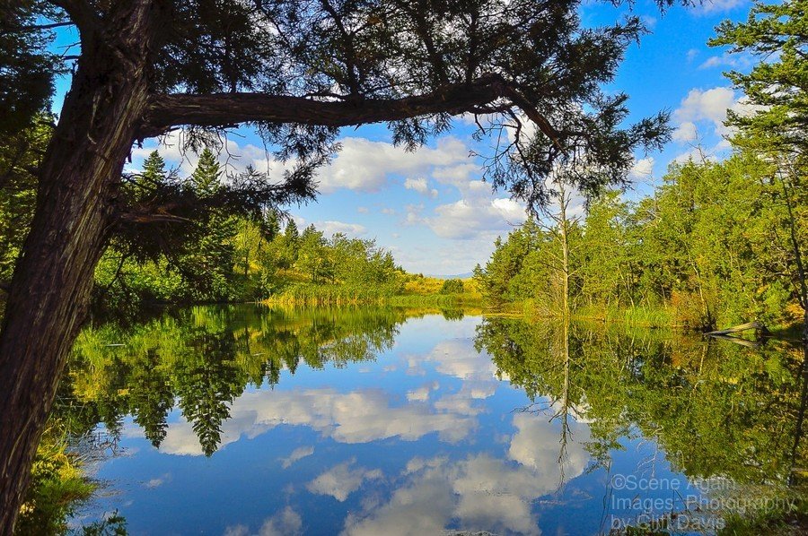 CHICO POND