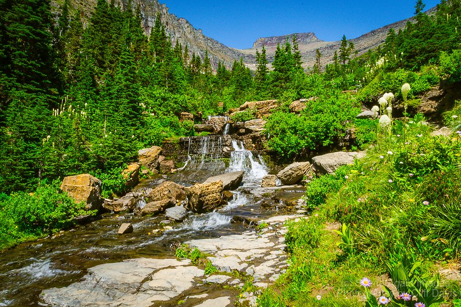 LUNCH CREEK AND POLLOCK MOUNTAIN, GLACIER NATIONAL PARK