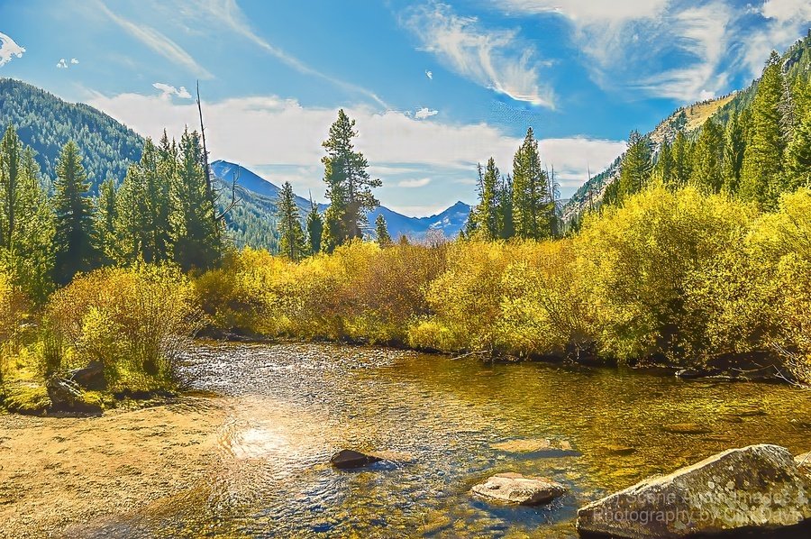 SOUTH FORK OF SPANISH CREEK, MONTANA