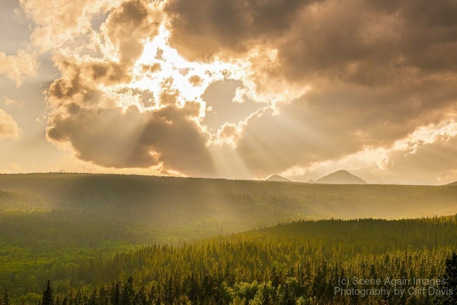 INTO THE SUN