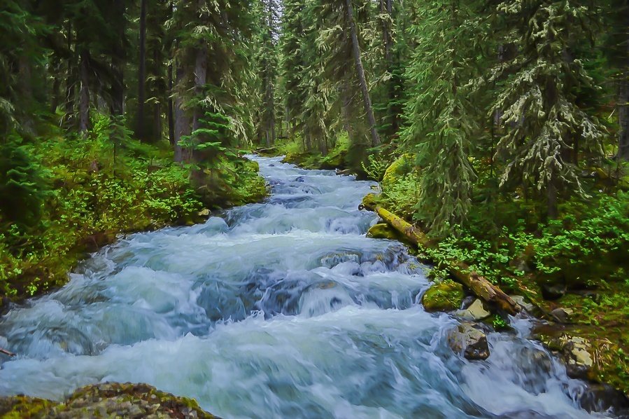 UPPER HYALITE CREEK