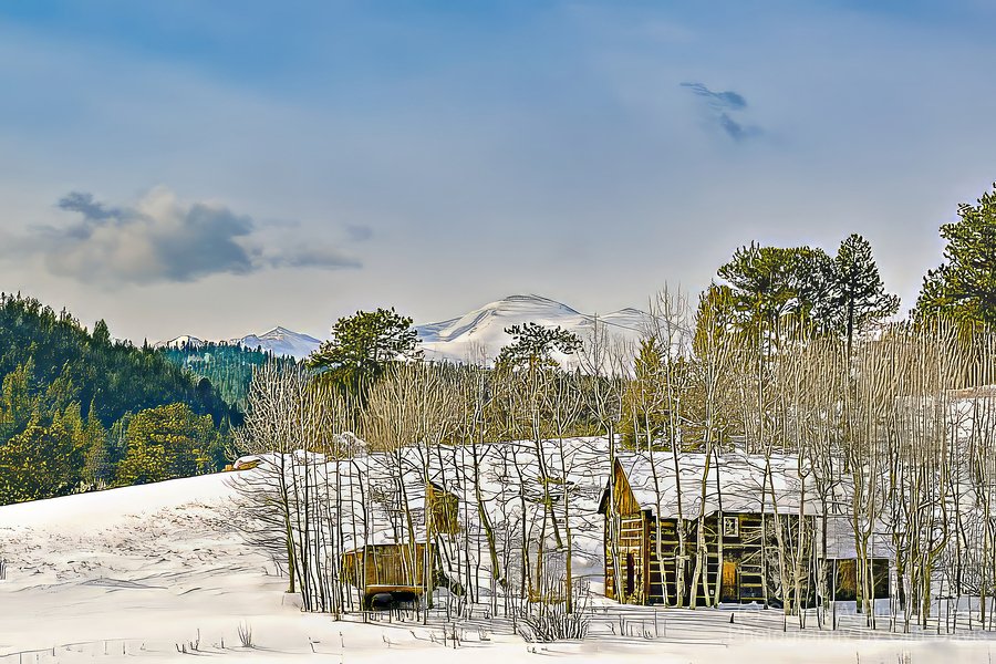 HOME IN THE ASPENS