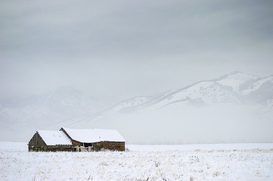 ISOLATION