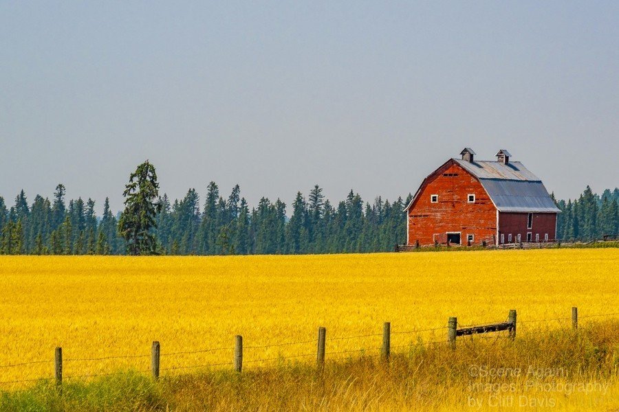 FLATHEAD BARN