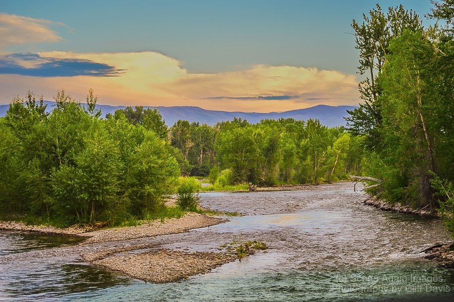 GALLATIN RIVER, SOUTH GALLATIN VALLEY