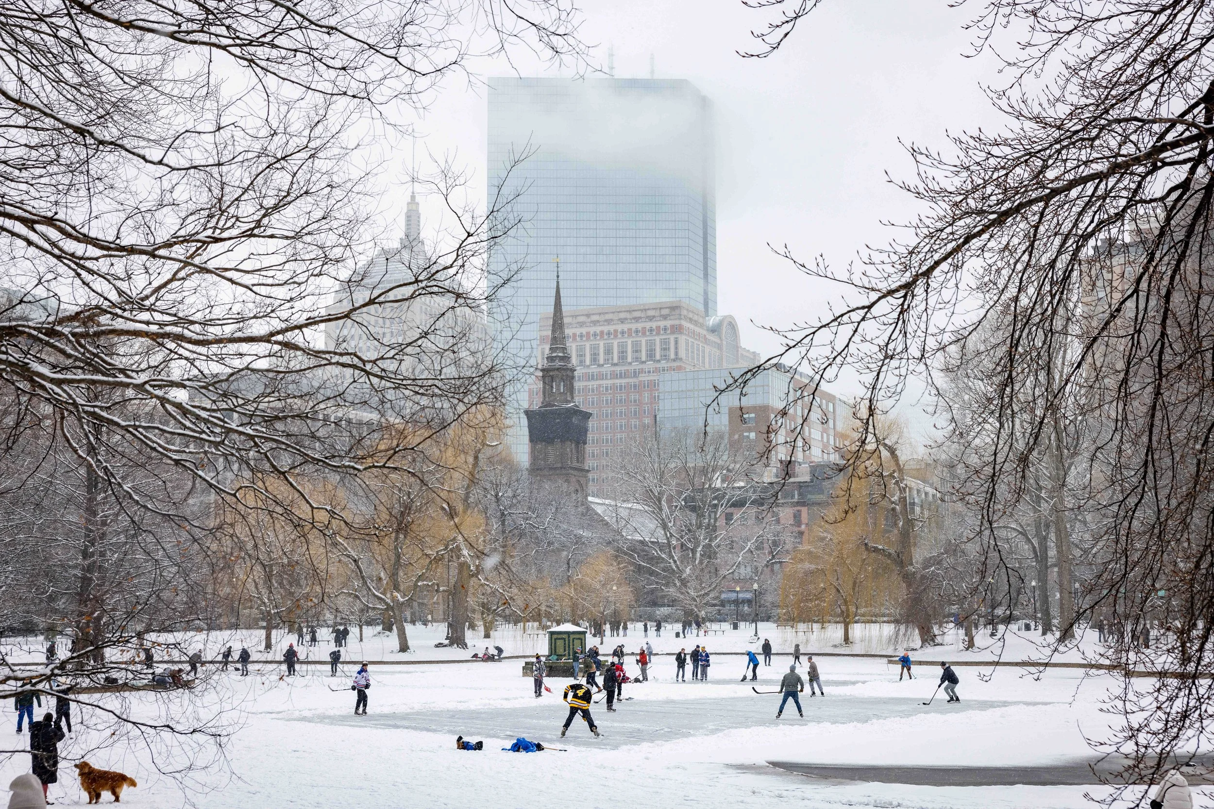 250111_Snow-047A.JPG