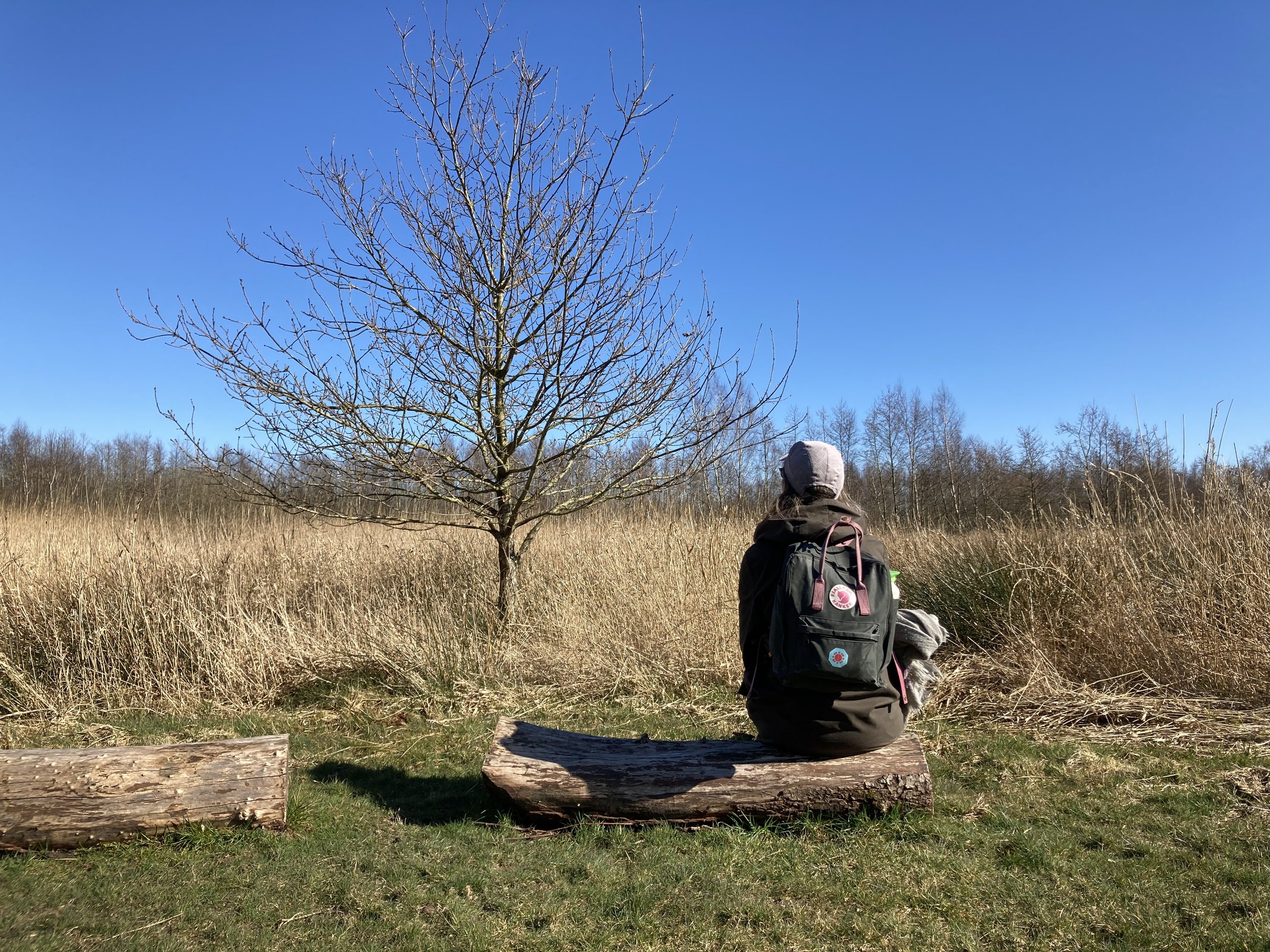 Verstilling in de natuur voor reflectie.jpg