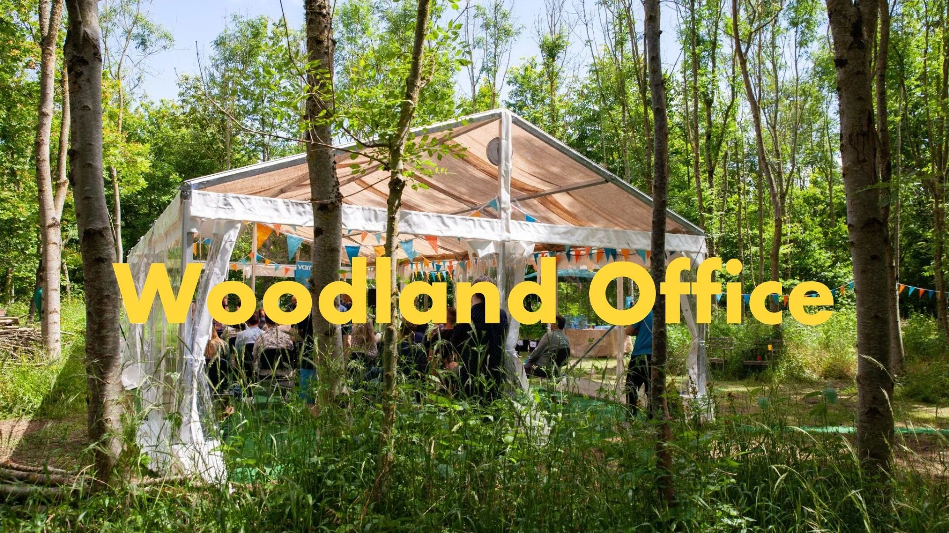 Varn's Woodland Office